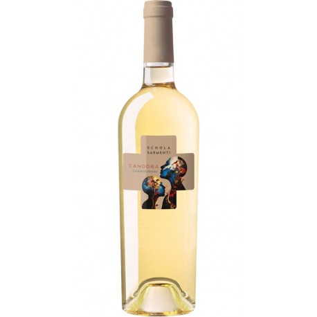 CANDORA Chardonnay  SCHOLA SARMENTI Salento IGT Italy
