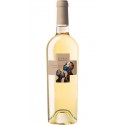 CANDORA, Chardonnay Salento IGT, SCHOLA SARMENTI, Italy